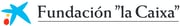 Fundación _la caixa_