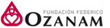 IA 4 Inclusion - Fundacion Federico Ozanam-1