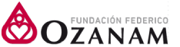IA 4 Inclusion - Fundacion Federico Ozanam-1